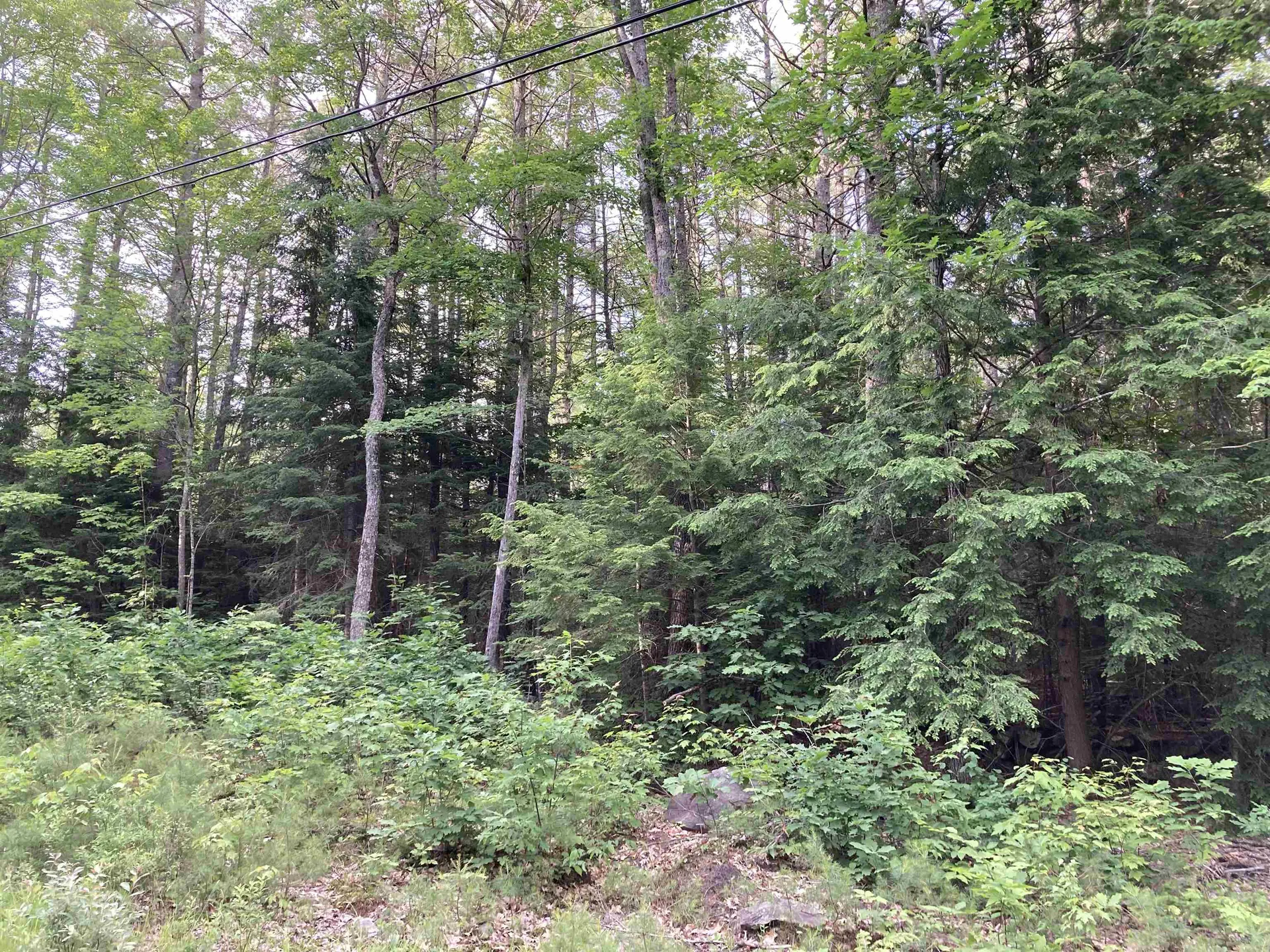 00 Codfish Hill Road Canaan NH 03741