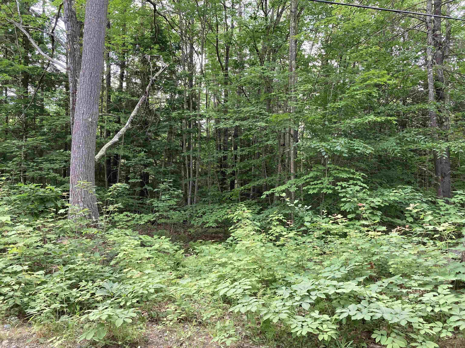 00 Codfish Hill Road Canaan NH 03741