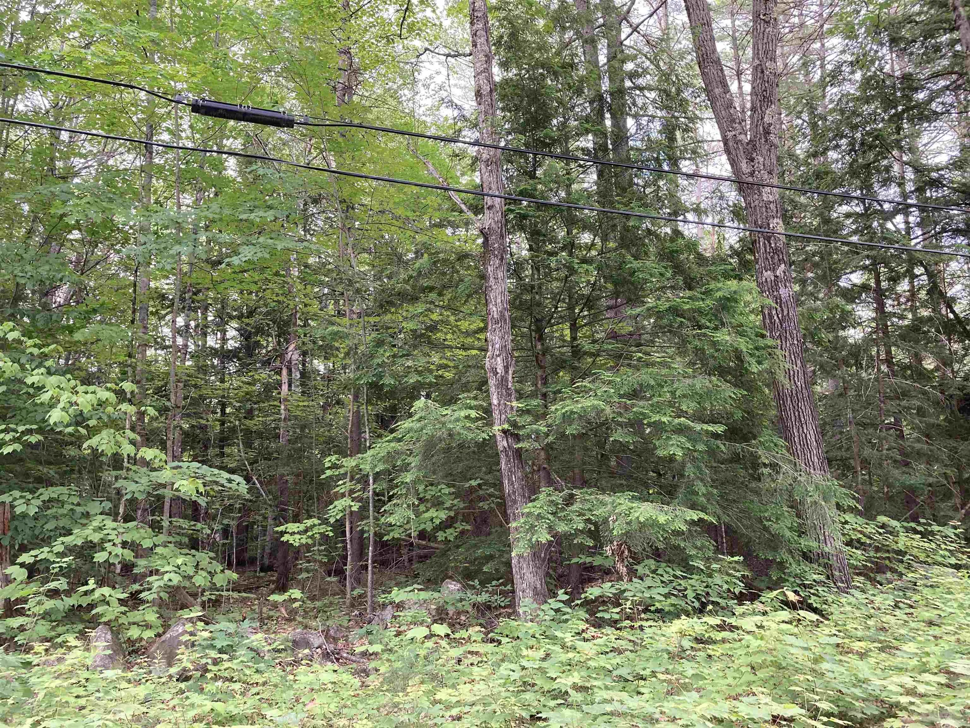 00 Codfish Hill Road Canaan NH 03741