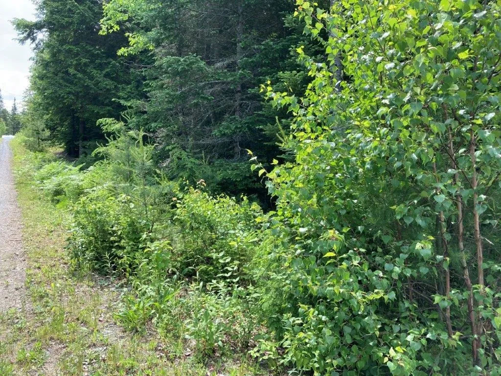 00 Eringlen Way Canaan NH 03741