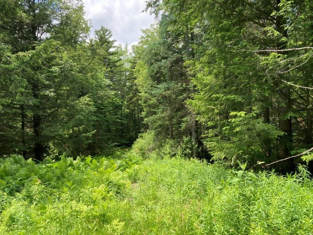 00 Eringlen Way Canaan NH 03741