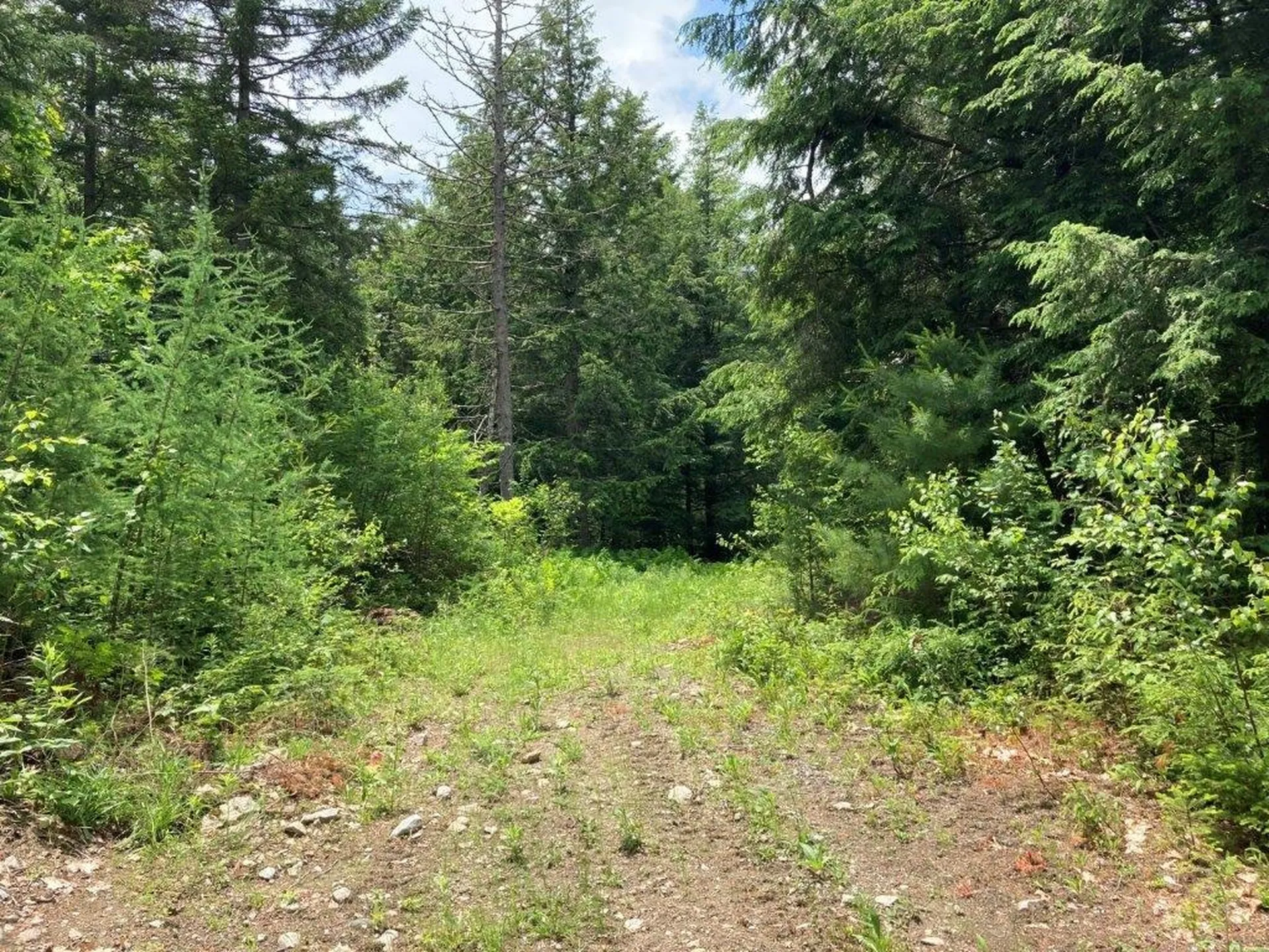 00 Eringlen Way Canaan NH 03741