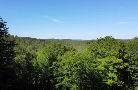 1190 Little Scotland Road Barnet VT 05821