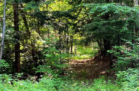 1190 Little Scotland Road Barnet VT 05821