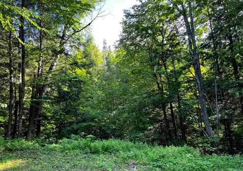 1190 Little Scotland Road Barnet VT 05821