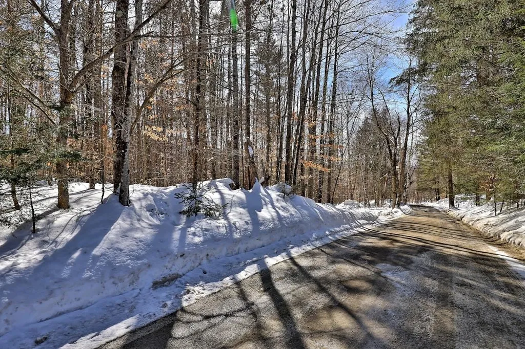 42 Blue Ridge Road Chittenden VT 05737