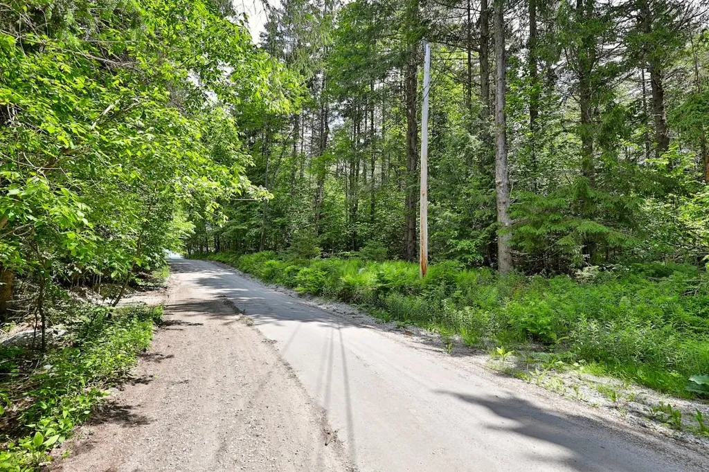 42 Blue Ridge Road Chittenden VT 05737