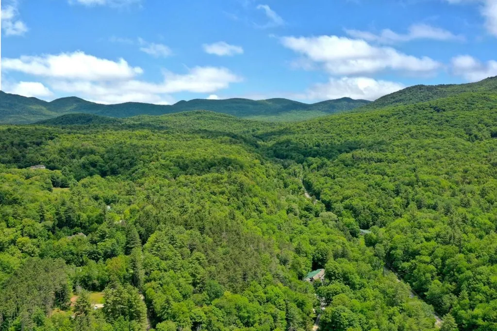 42 Blue Ridge Road Chittenden VT 05737