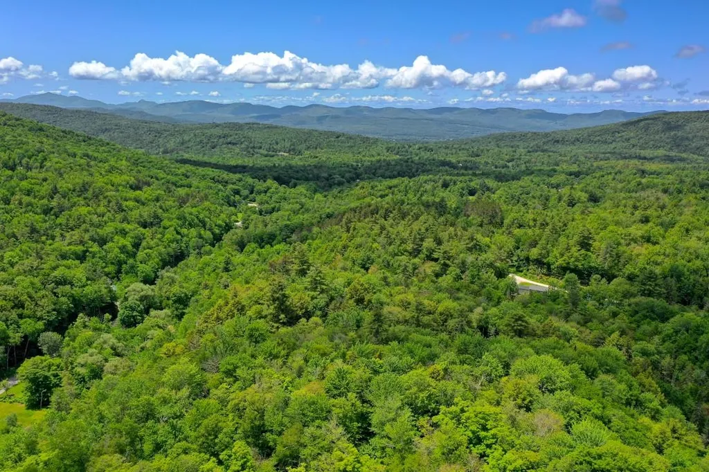 42 Blue Ridge Road Chittenden VT 05737