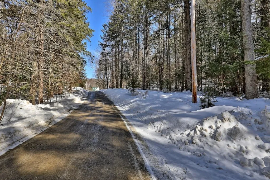 42 Blue Ridge Road Chittenden VT 05737