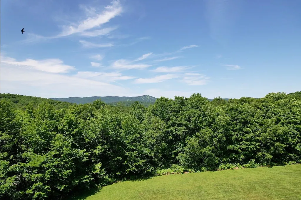 5 Rice Hill Road Dover VT 05356