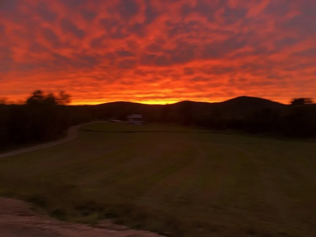 152 Wolf Lane Lincoln VT 05443