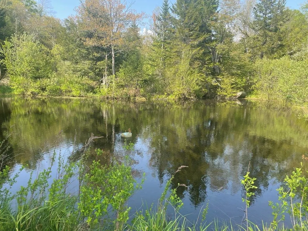 152 Wolf Lane Lincoln VT 05443
