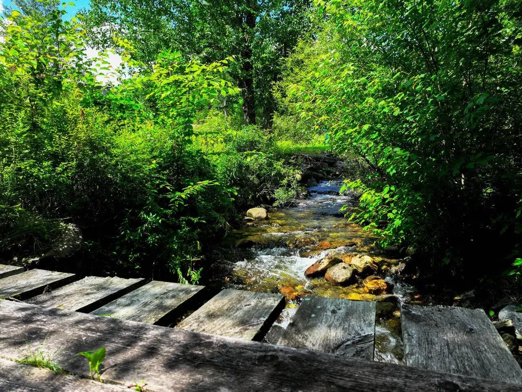 152 Wolf Lane Lincoln VT 05443