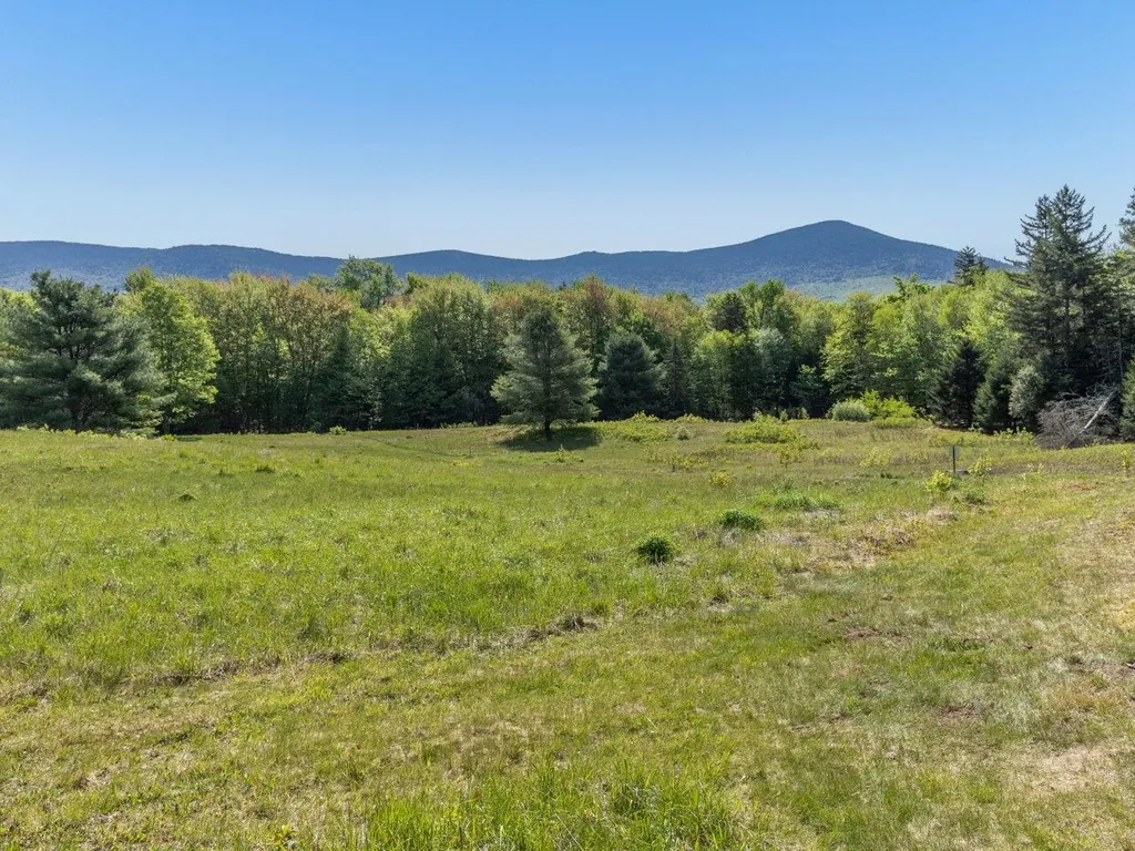 152 Wolf Lane Lincoln VT 05443