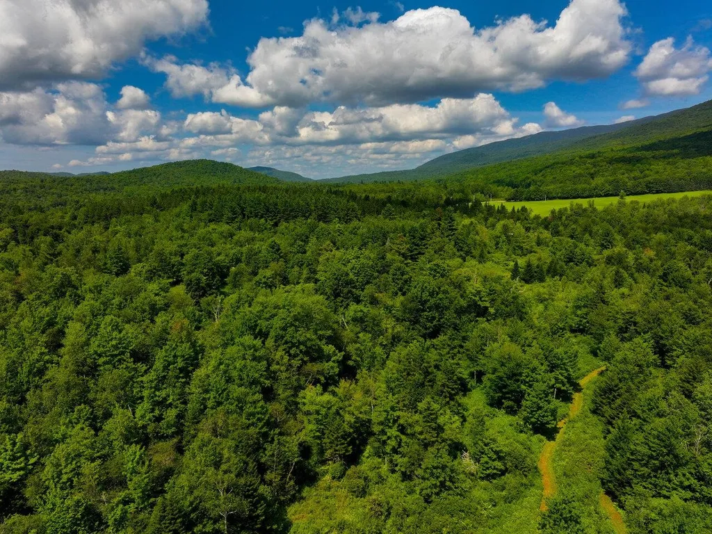 152 Wolf Lane Lincoln VT 05443