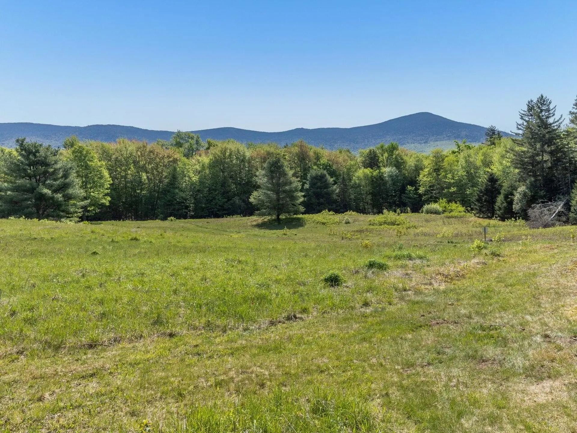 152 Wolf Lane Lincoln VT 05443