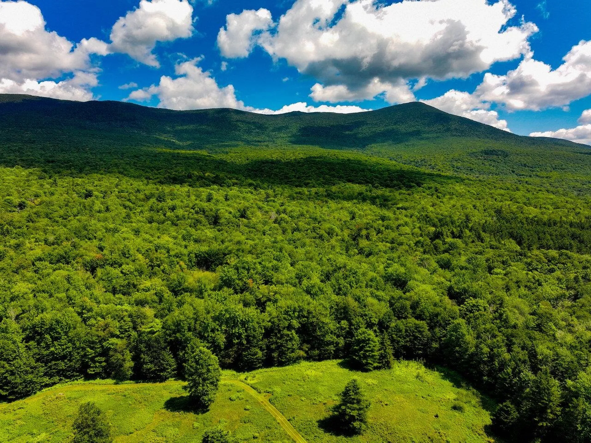 152 Wolf Lane Lincoln VT 05443