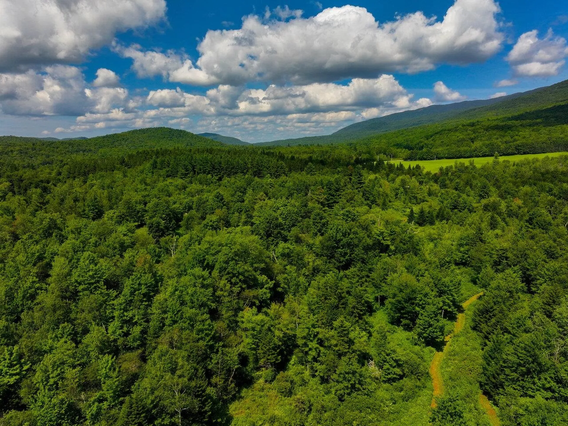 152 Wolf Lane Lincoln VT 05443