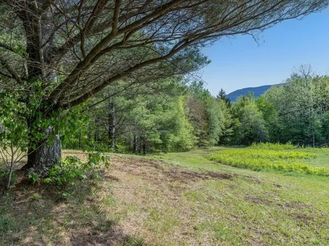 152 Wolf Lane Lincoln VT 05443