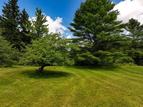 152 Wolf Lane Lincoln VT 05443