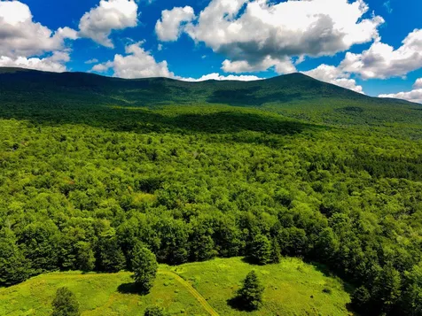 152 Wolf Lane Lincoln VT 05443