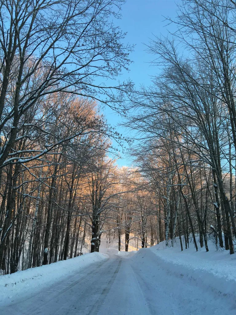408 Hidden Ridge Road Pomfret VT 05067