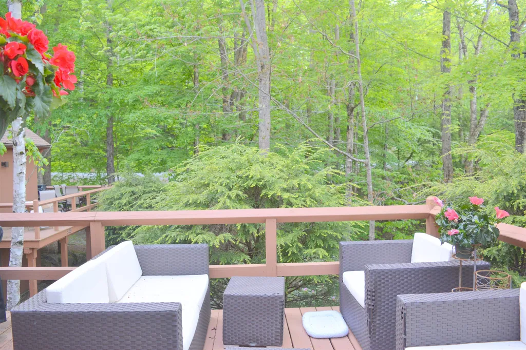 847 Cove Drive Grantham NH 03753