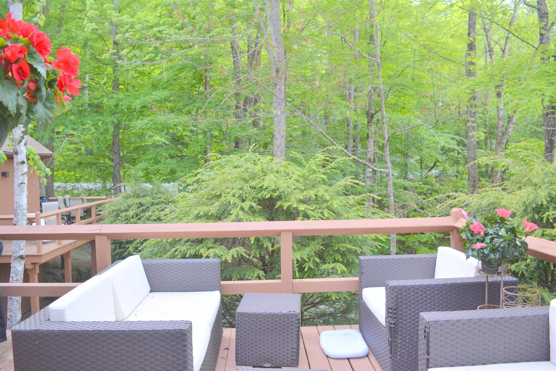 847 Cove Drive Grantham NH 03753