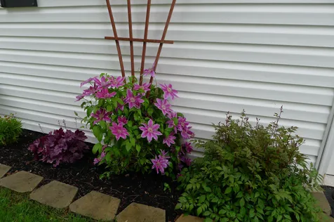 169 Eagle Drive Rochester NH 03868