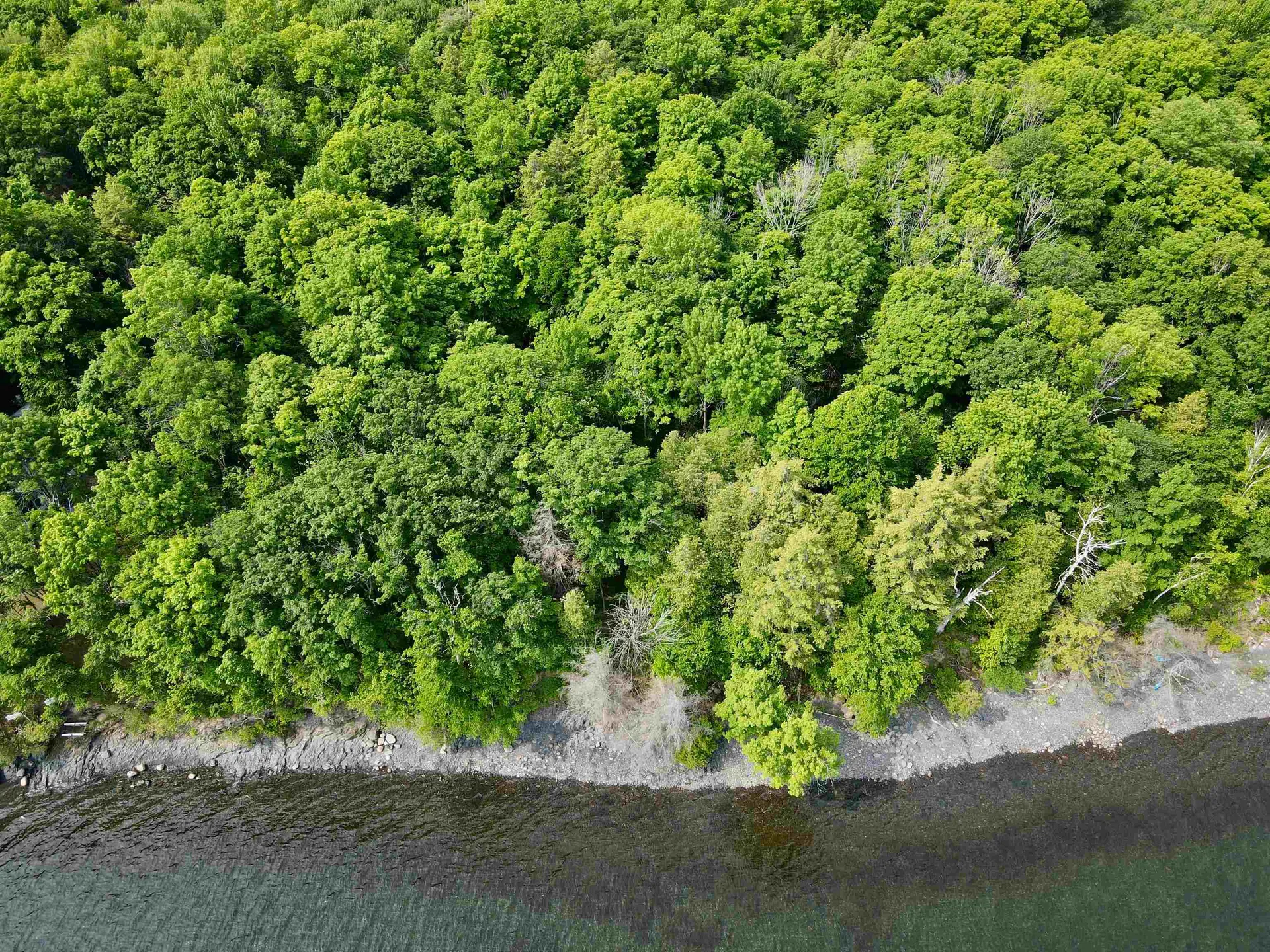 3025 Butler Island East North Hero VT 05474