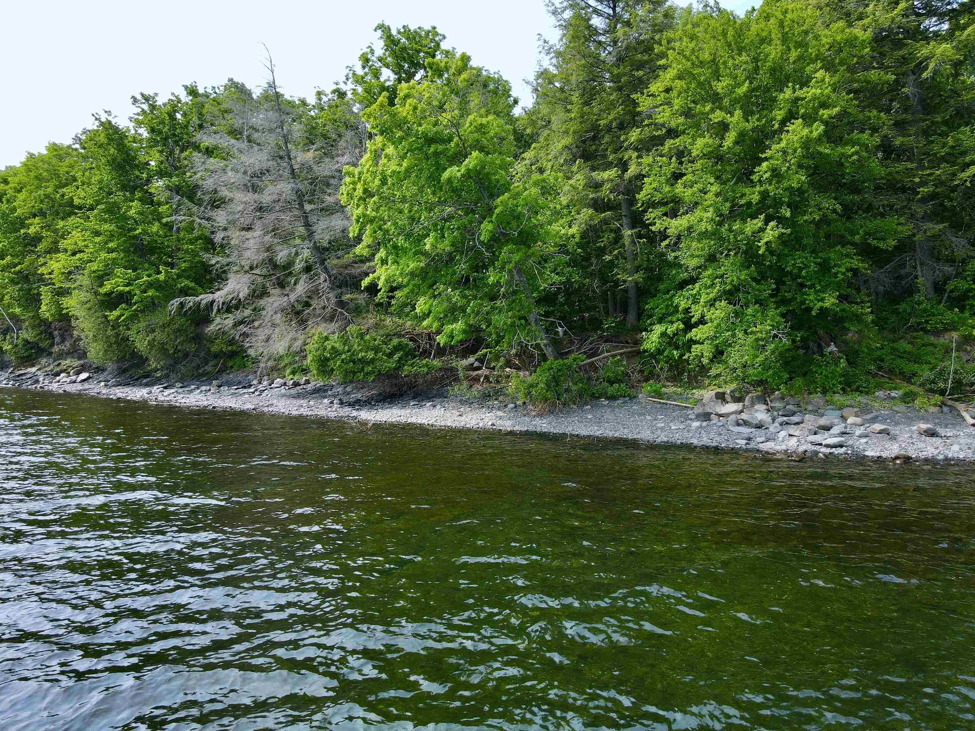 3025 Butler Island East North Hero VT 05474