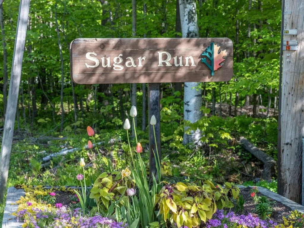 98 Sugar Run Fayston VT 05673