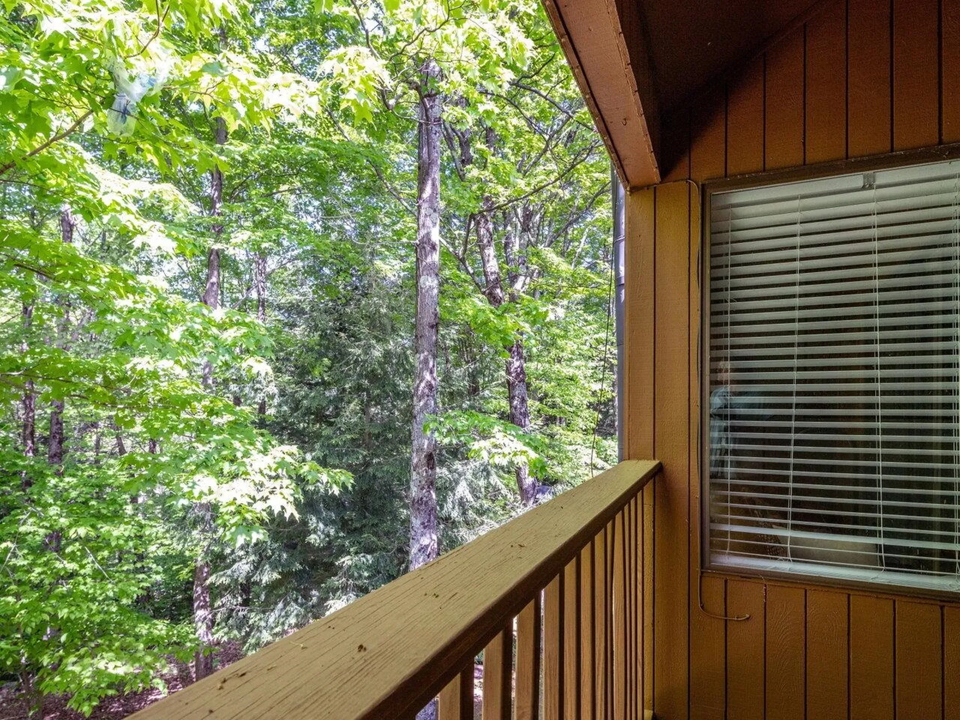 98 Sugar Run Fayston VT 05673