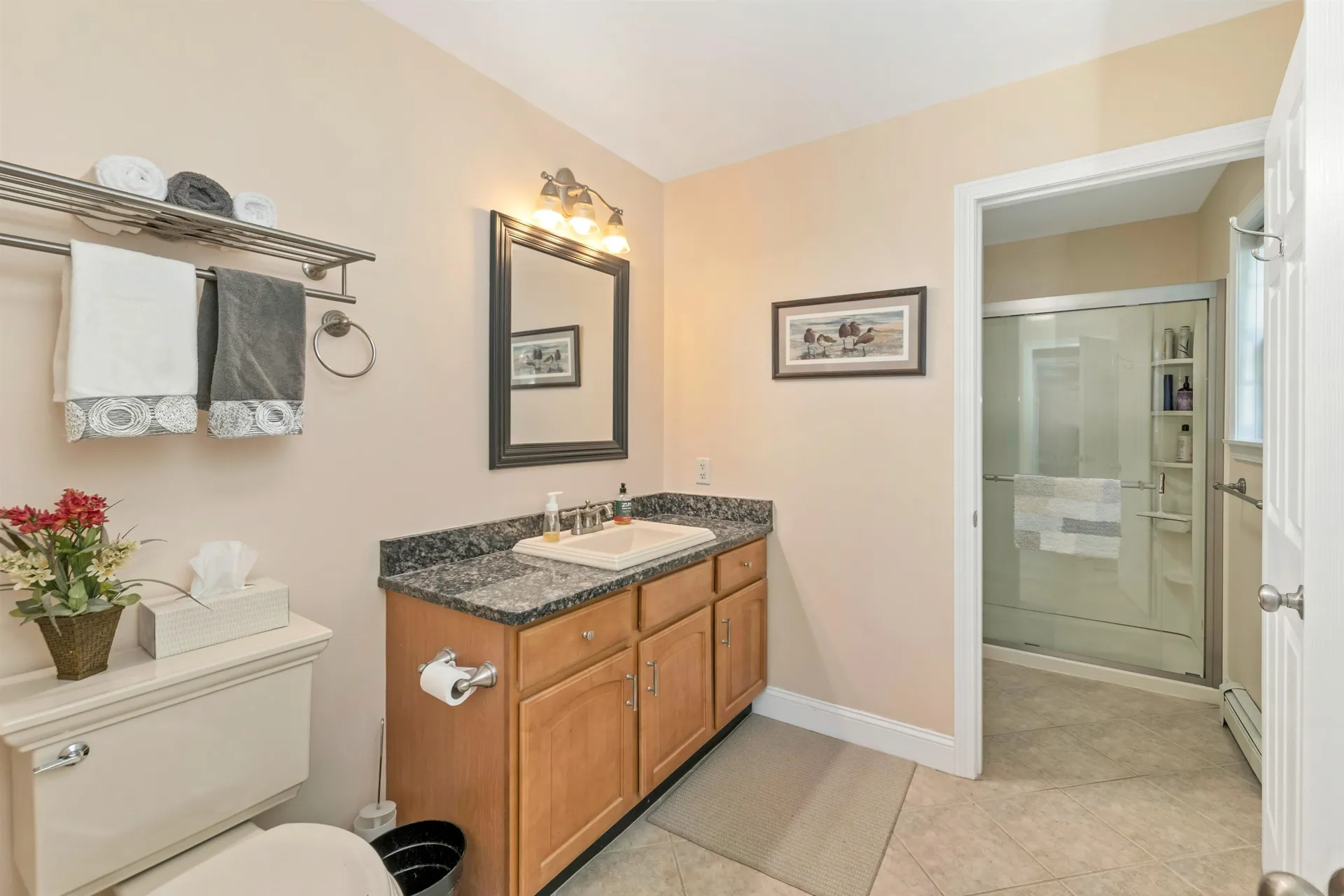 7 Pointe Sewall Road Wolfeboro NH 03894