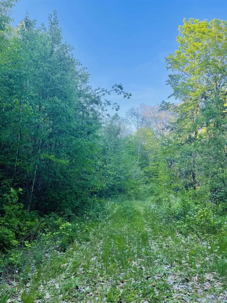 0 Route 5 South Barnet VT 05821