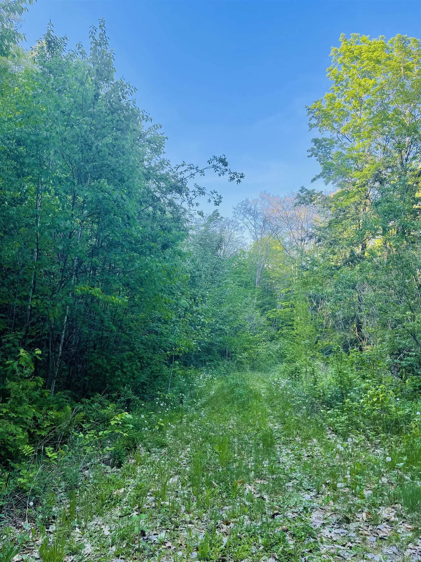 0 Route 5 South Barnet VT 05821