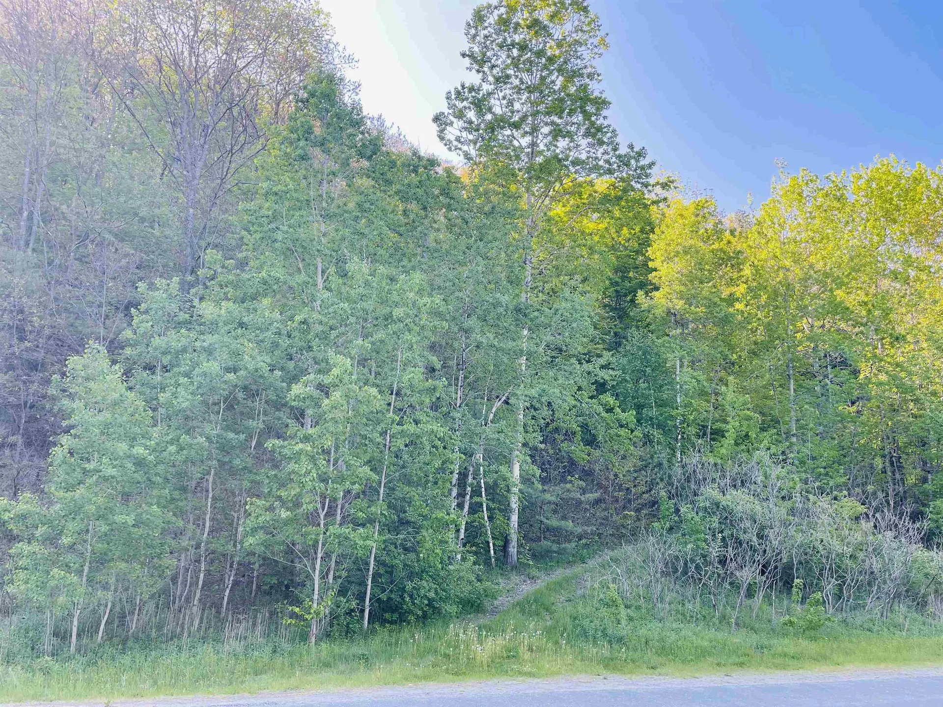 0 Route 5 South Barnet VT 05821