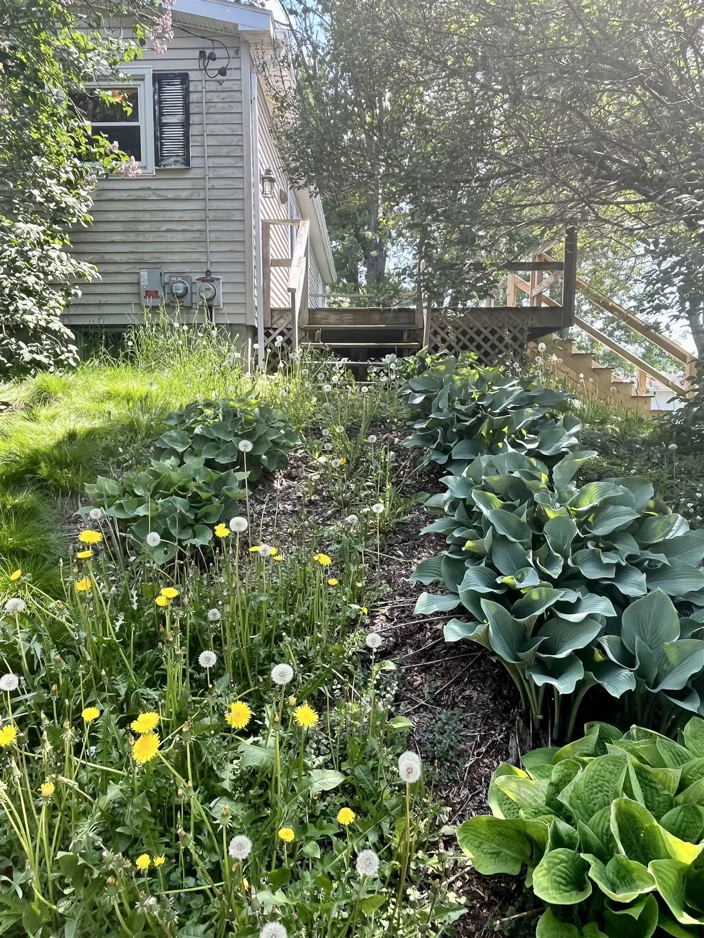 25 Preston Drive Northfield VT 05663