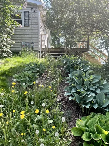 25 Preston Drive Northfield VT 05663