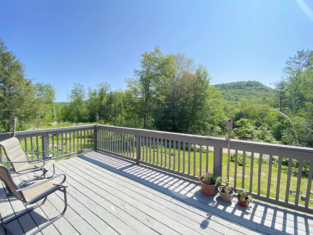 104 Mountain View Townshend VT 05353