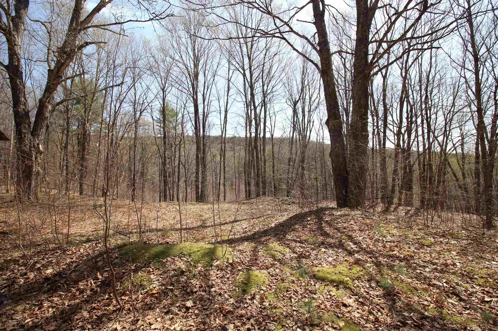 1092 Sessions Meadow Pomfret VT 05067