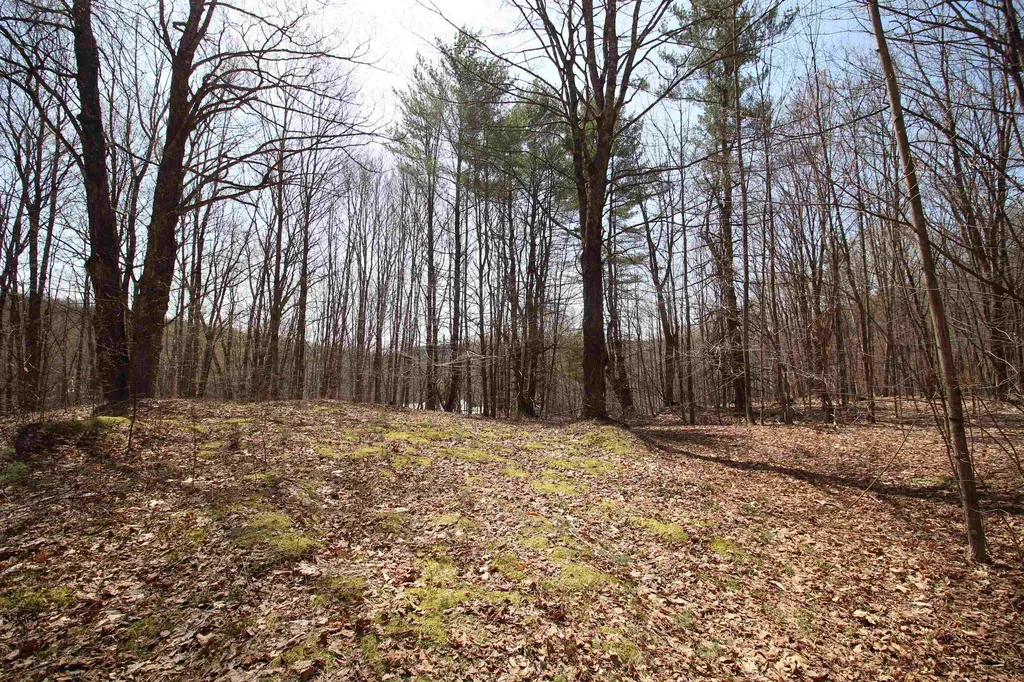 1092 Sessions Meadow Pomfret VT 05067