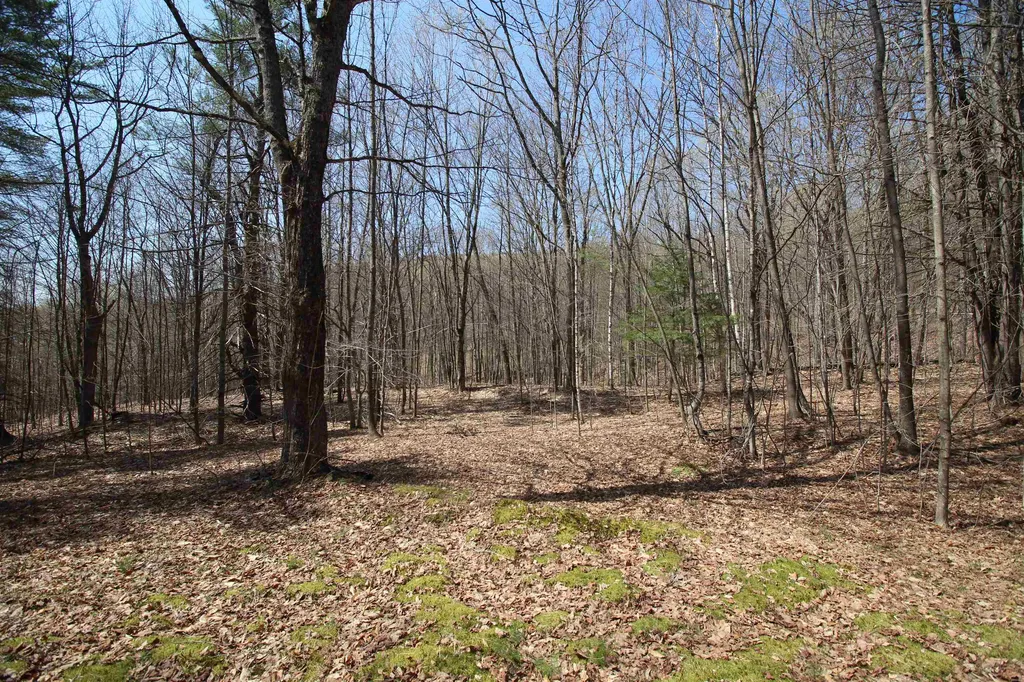1092 Sessions Meadow Pomfret VT 05067