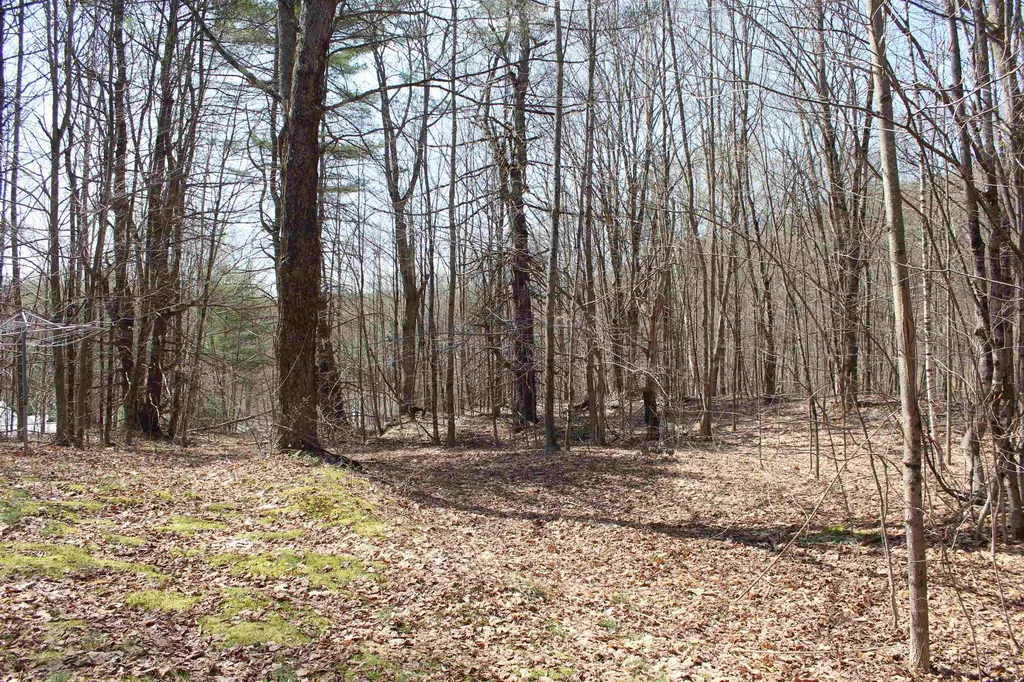 1092 Sessions Meadow Pomfret VT 05067