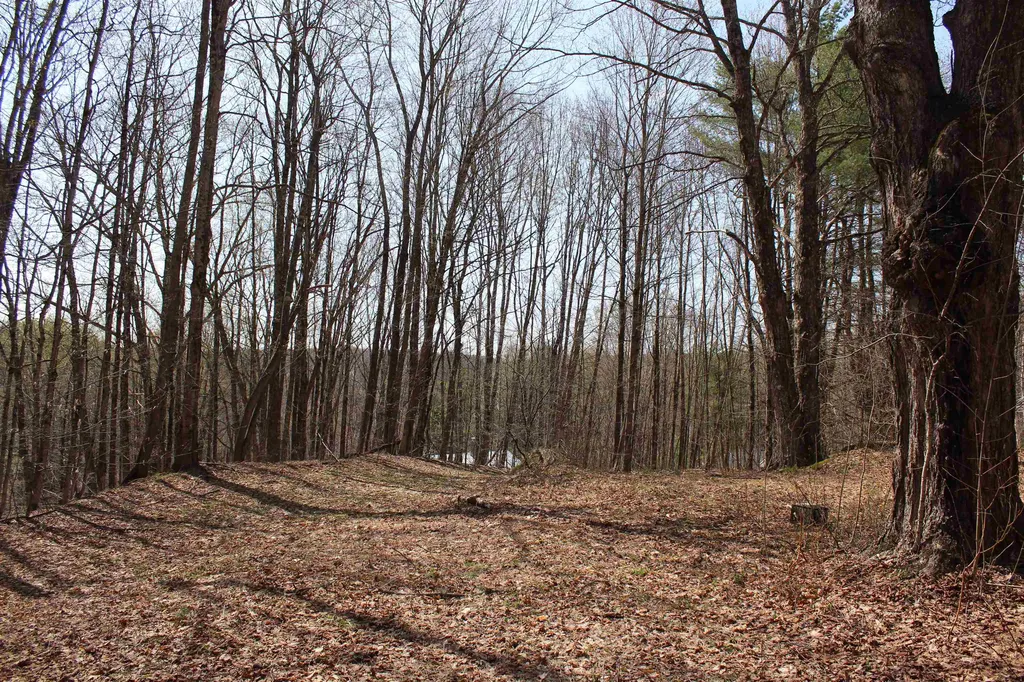 1092 Sessions Meadow Pomfret VT 05067