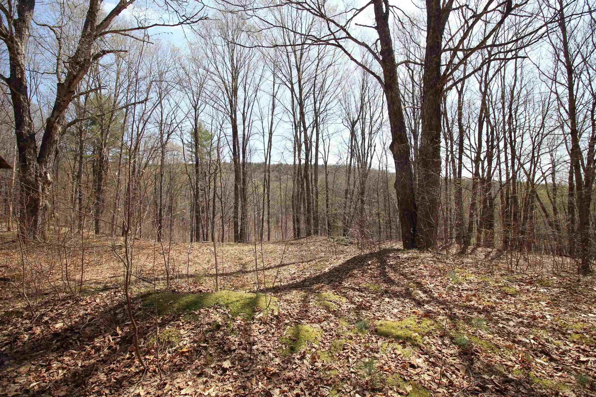 1092 Sessions Meadow Pomfret VT 05067
