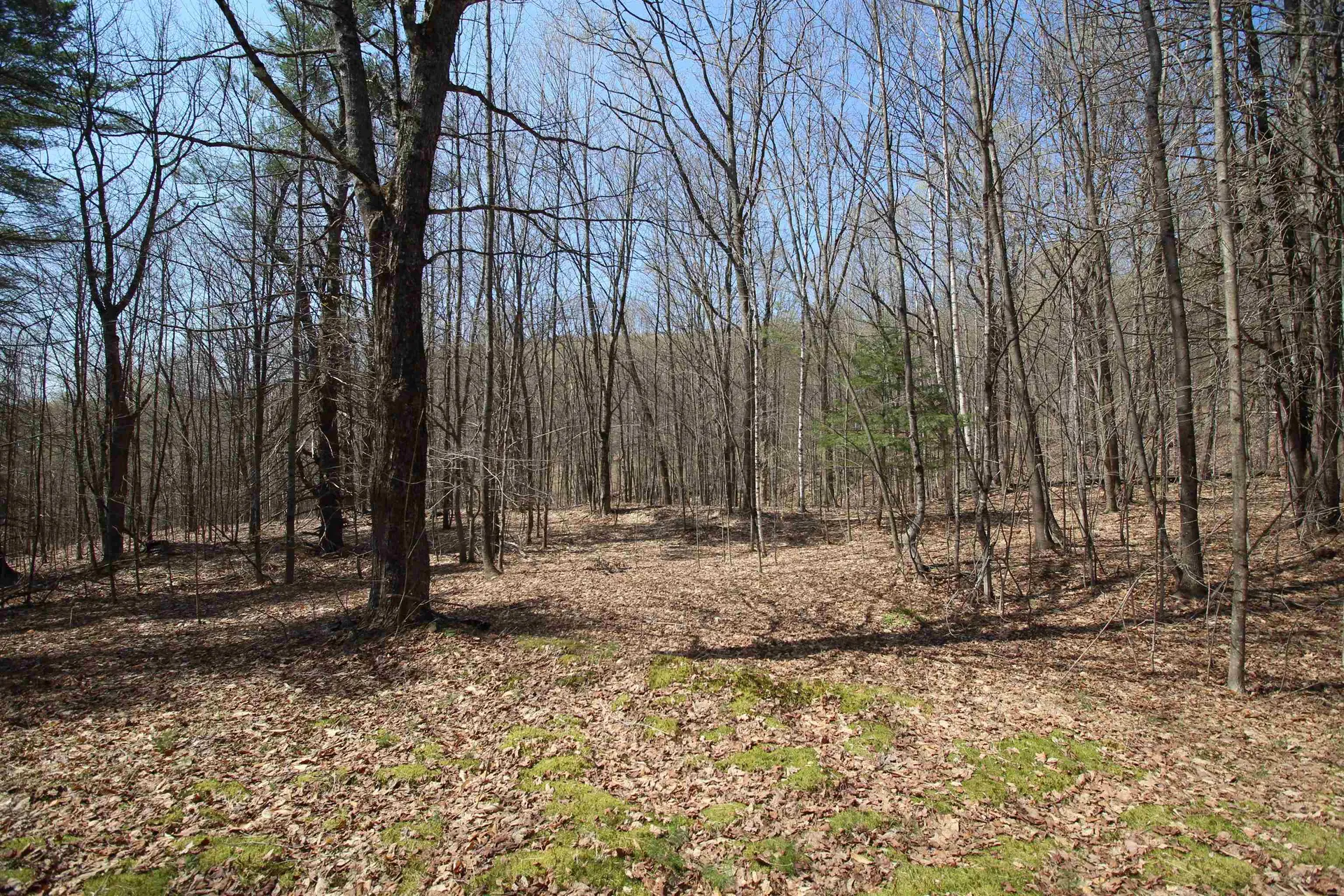 1092 Sessions Meadow Pomfret VT 05067