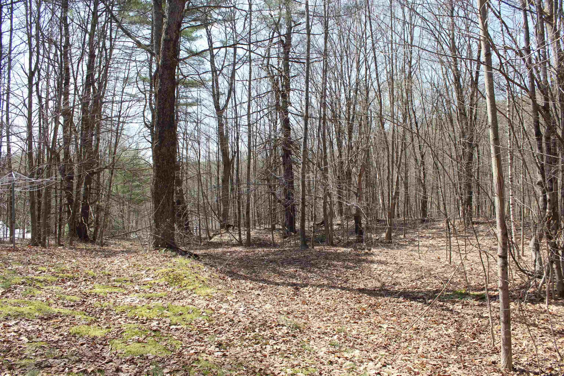 1092 Sessions Meadow Pomfret VT 05067