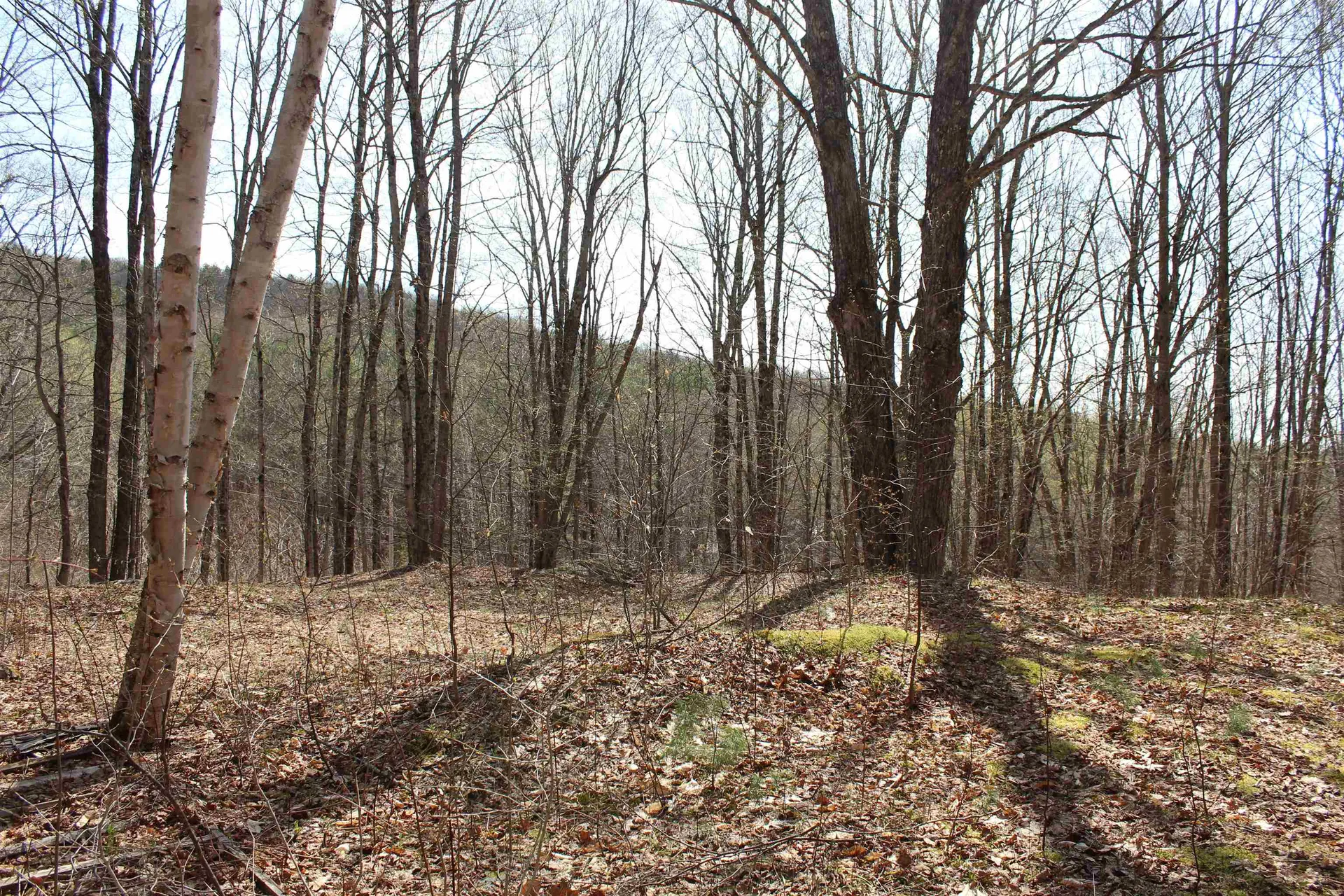 1092 Sessions Meadow Pomfret VT 05067